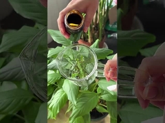 Natural And Easily Absorbed Yeast Fermentation Concentrate JM-Y1