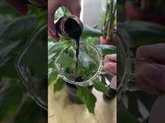 Natural Organic Mineral Rich Molasses Ferment Concentrate Fertilizer