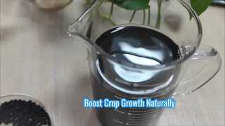 Boost Crop Yields With Amino Acid Paste Fertilizer