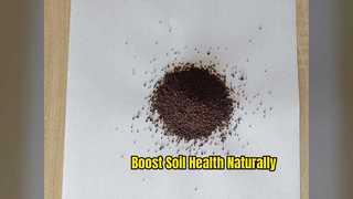 Organic Potassium Fulvate Granules for Soil Health